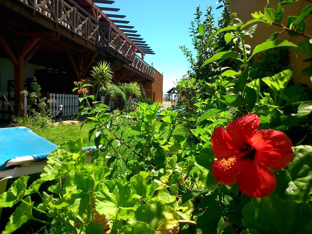 Hostal Playa Mazagón Екстериор снимка